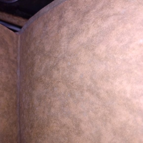 The Poems Of Alfred Lord Tennyson copyright 1900 Embossed Moroccan Leather Boxed - Picture 9 of 12